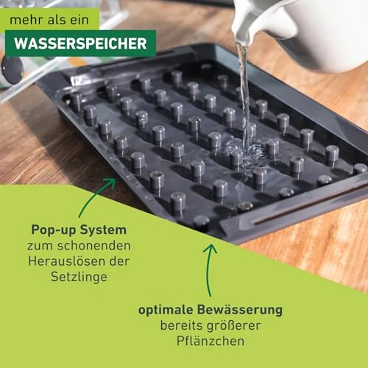 Windhager Anzucht-Gewächshaus RootXtender 3in1, eckig in schiefergrau, für bis zu 40 Pflanzen, mit konischen Pflanzlöchern zur Wurzelbildung, 39 x 25 x 13 cm – Bild 7