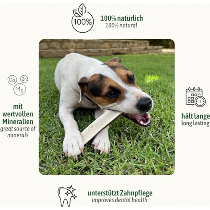 ChronoBalance® L (2er Set) Geweih Kaustange für Hunde halbierte Stücke Kauspielzeug: Zahnpflege Kaustab aus 100% Hirschgeweih, Hundespielzeug für Zahnhygiene, Kauknochen ohne Chemie – Bild 2