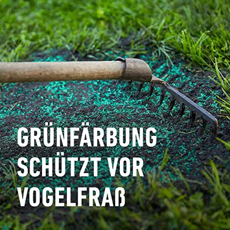 COMPO SAAT Trocken-Rasen, 1 kg für 50 qm – Bild 5