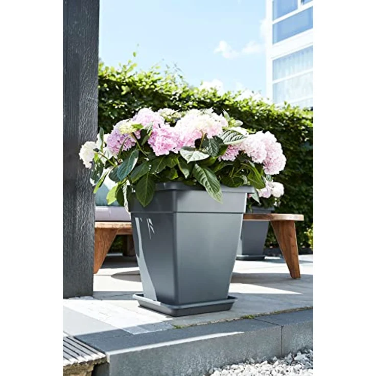 Elho Universal Untersetzer Viereckig 30 - Anthrazit - Drinnen & Draußen - L 30 x W 30 x H 4.4 cm – Bild 6