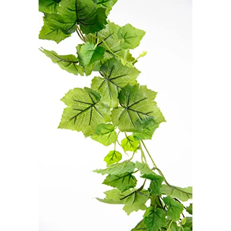 Flair Flower Girlande Weinrebe, Kunstpflanze in Grün, 180x16x8cm, ideal für Hochzeiten und Festlichkeiten, vielseitig einsetzbar zur Dekoration – Bild 2