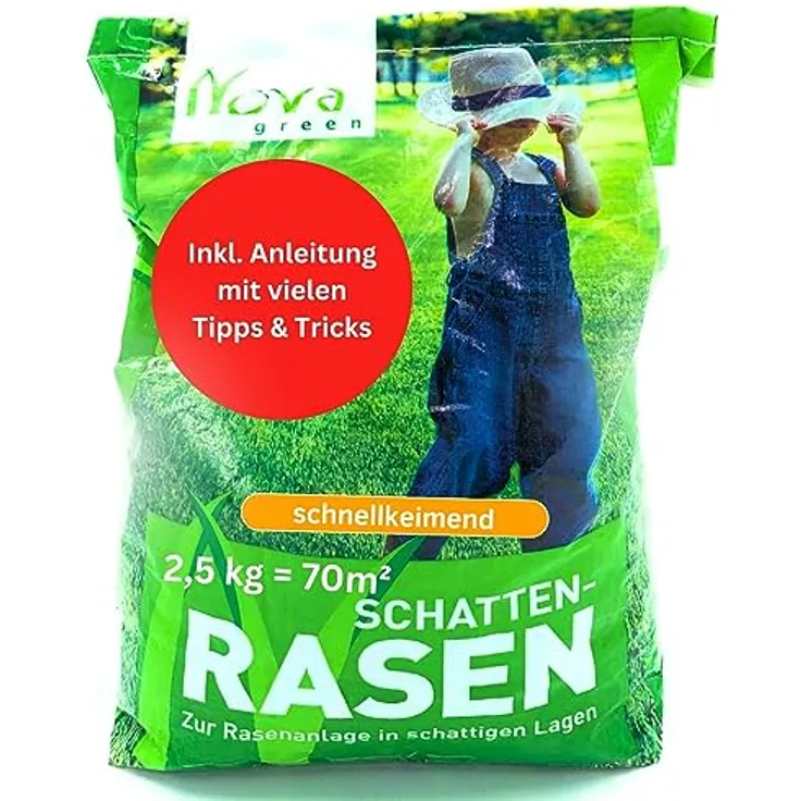 halmland Schattenrasen Samen, schnellkeimend für schattige Flächen, 2,5 kg (70 m²), inklusive Aussaatanleitung, sehr gut getestet