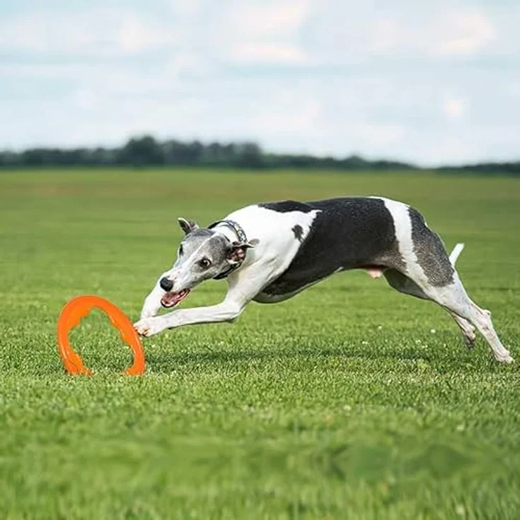 Bionic Toss-N-Tug Turbo, strapazierfähiges Tierspielzeug für Hochgeschwindigkeits-Verfolgungsjagden, schwarz – Bild 3