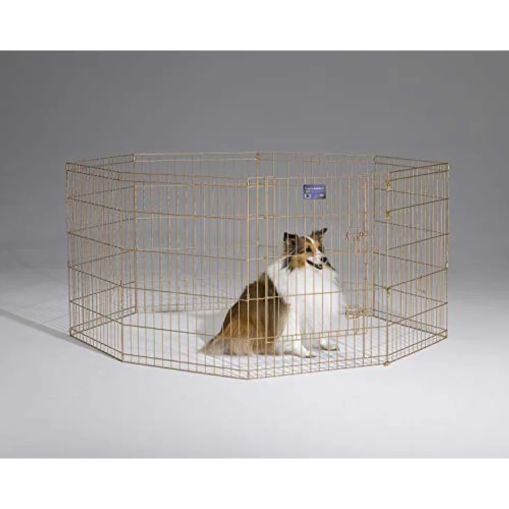 MidWest Homes for Pets Midwest Exercise Pen mit Tür, 76,2 cm, Gold – Bild 2