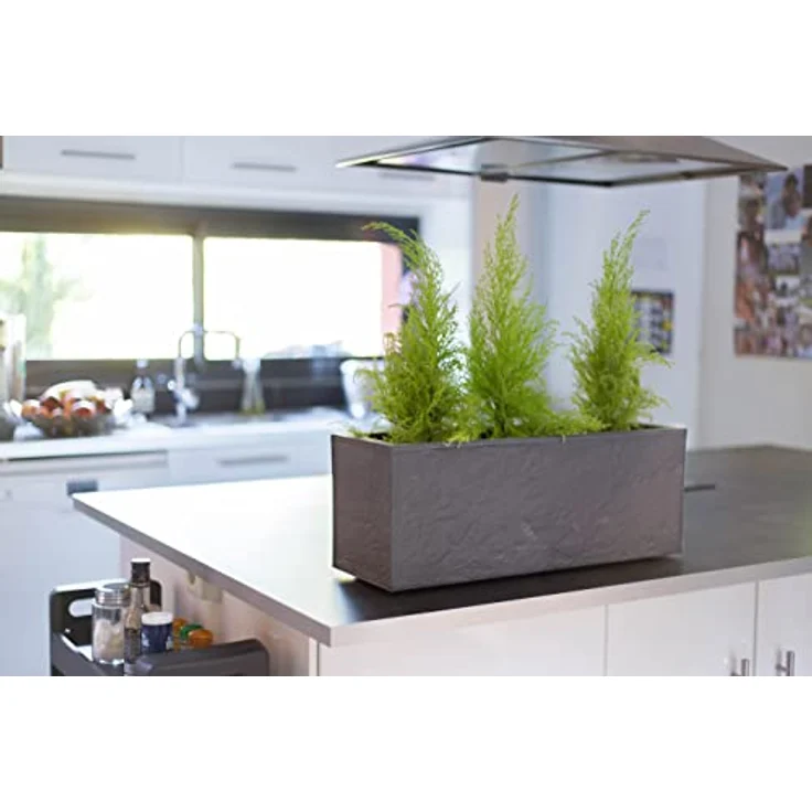 ONDIS24 Vulkan Pflanzkübel Balkonkasten mit Wasserspeicher, 25L Pflanzvolumen, rechteckig, Basaltfarbe für Balkon und Terrasse – Bild 9