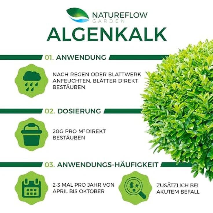 NATUREFLOW TESTSIEGER Bio Algenkalk für Buchsbäume, 1kg - Nährstoffprofil mit 20% Magnesiumcarbonat, pH über 9,5, ideal gegen Buchsbaumzünsler, biologisch geeignet – Bild 5