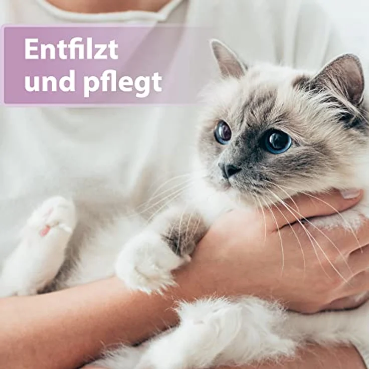 Felisept Fellpflege Spray für Katzen, 250ml - zur Entfilzung, milde Pflege für Langhaarkatzen und Senioren – Bild 2