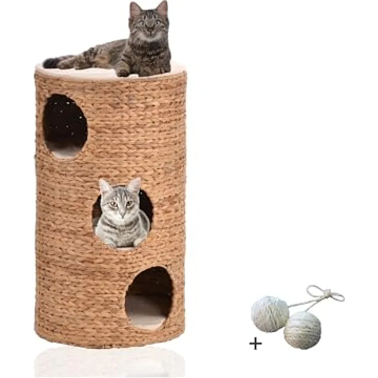 Rohrschneider® Katzentonne mit 3 Etagen | Stabiler Kratzbaum & gemütliche Kratzhöhle für Katzen | Katzen Höhlenbett inkl. Kissen | Katzenmöbel Katzentonne | Katzenspielzeug