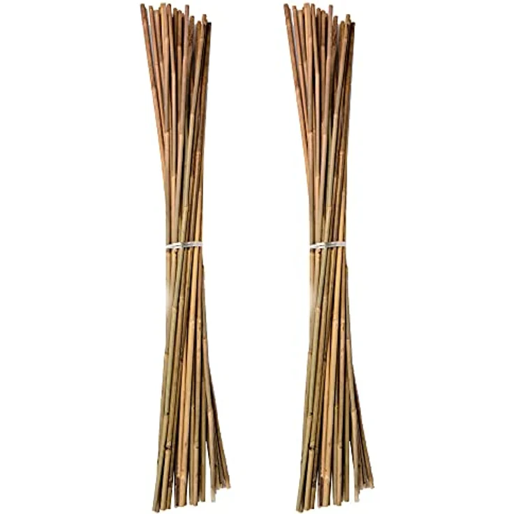 UNUS Bambusstäbe, Pflanzenstäbe zur Stabilisierung von Pflanzen im Garten, Rankstäbe Bambus 120 cm naturfarbend, 50 Stück – Bild 2
