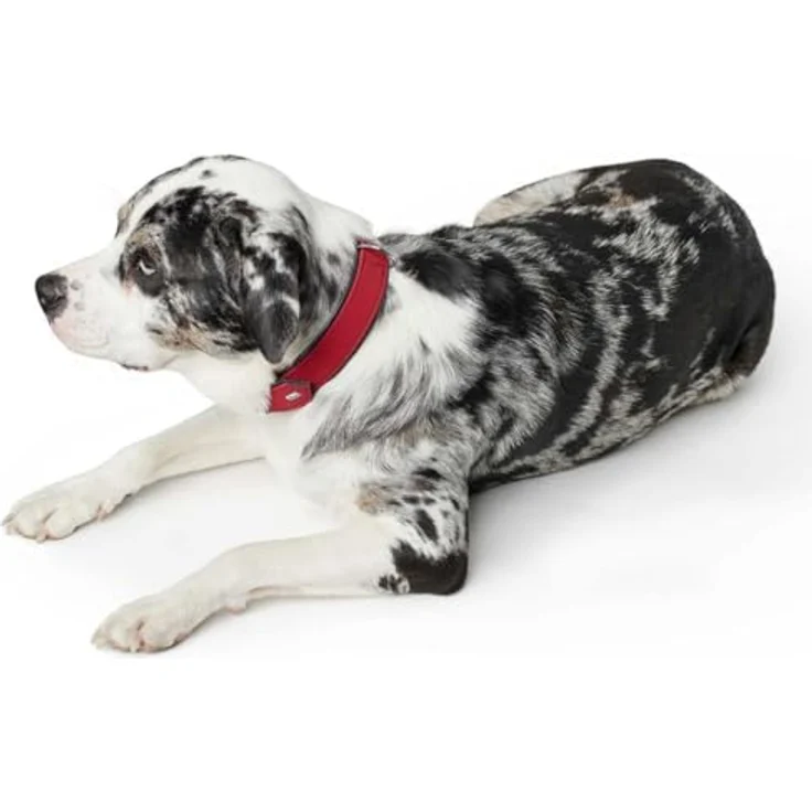 Hunter Hunde-Halsband Softie rot-schwarz S – Bild 3