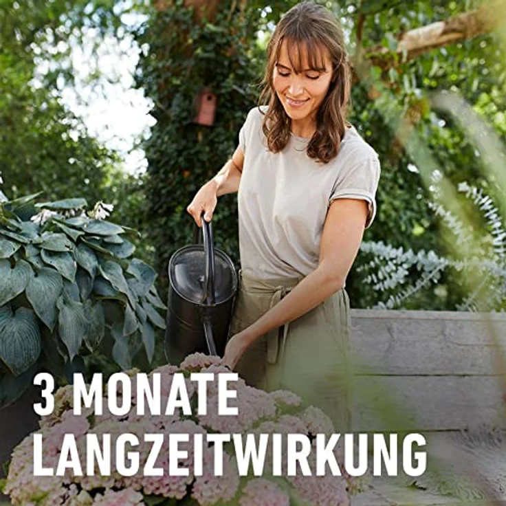 Compo Rhododendron Langzeit-Dünger neu, 850 g – Bild 7