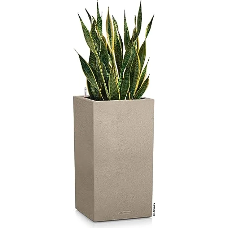 Lechuza Komplett-Set für den Garten 40x40x76 cm beige – Bild 3