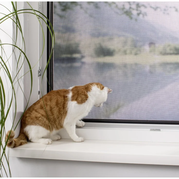 Primaster Pet-Protect Gewebe 120 x 150 cm schwarz, ideal für Insektenschutztüren und Haustierschutz