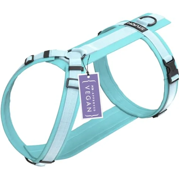 STUCH Hundegeschirr - verstellbares Nylon Geschirr - gepolstert - Für kleine, mittlere und große Hunde, Farbe:Türkis, Größe:XS