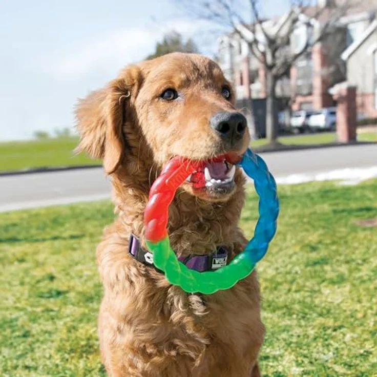KONG Twistz Ring Dog Toy Small Red Green Blue – Bild 2