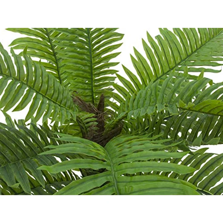 EUROPALMS Cycas Palme, Kunstpflanze 70cm mit naturgetreuen grünen Blättern aus PEVA, für Außenbereich geeignet – Bild 3