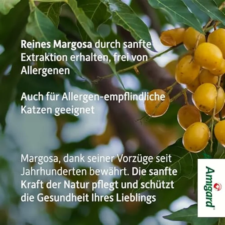 Amigard Niem-Shampoo für Hunde & Katzen, 250ml, Natürliches Shampoo ohne Chemie für eine natürliche Fellpflege, Hautfreundlich, Pflegend, bewährte Qualität – Bild 5