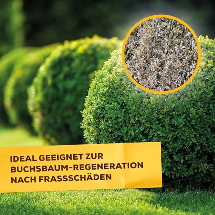 SBM Solabiol Buchsbaum Dünger, 1,5 kg – Bild 4