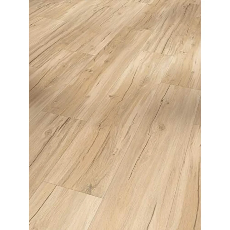 Parador Vinyl Basic 5.3 - Vinylboden Eiche Memory geschliffen - Hochwertiger. elastischer Bodenbelag in Holz-Optik. leise und komfortabel mit Klick-Verlegung - mit V-Fuge – Bild 1