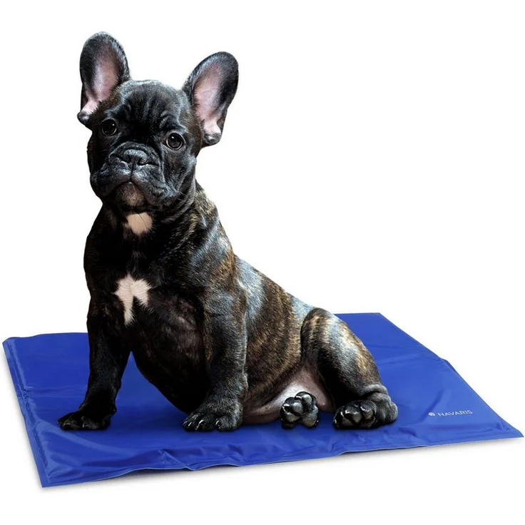 Navaris Hundematratze Kühlmatte für Hunde/Katzen, selbstkühlendes Kühlkissen Pad, 40x50cm, blau – Bild 1
