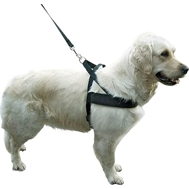 Kerbl MIAMI PLUS Geschirr, 60-75cm verstellbar, stabiles Nylongewebe, robuste Beschläge, schwarze Polsterung – Bild 2