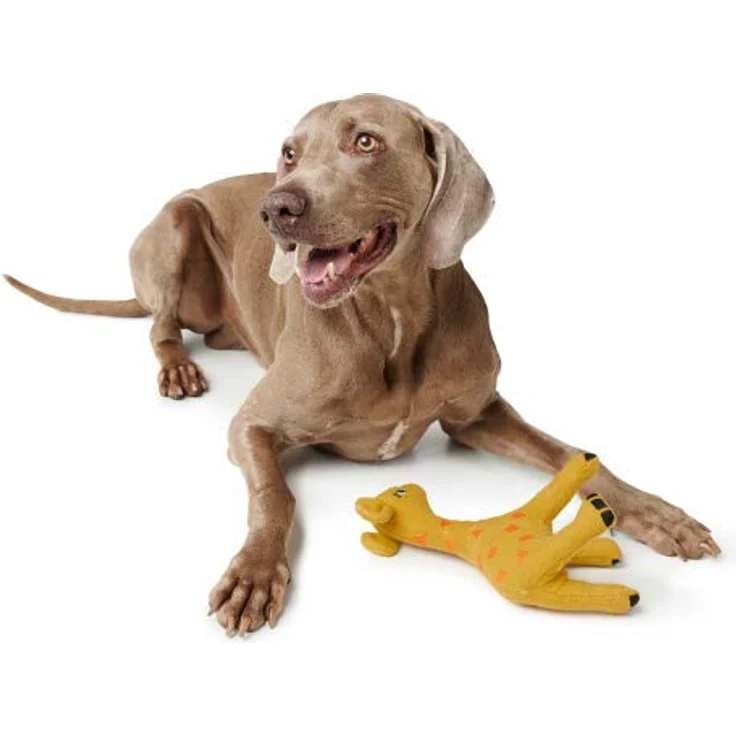 HUNTER EIBY Hundespielzeug, upgecyceltes Außenmaterial, recycelte Füllung, 21 cm, Giraffe - Preisvergleich – Bild 3