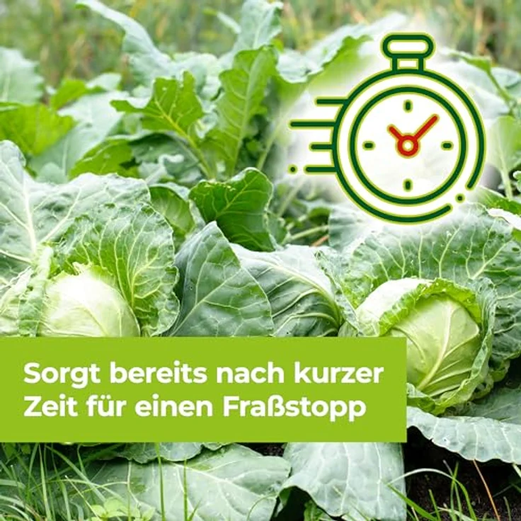 Bayer Garten Universal-Raupenfrei Lizetan 9 ml – Bild 6