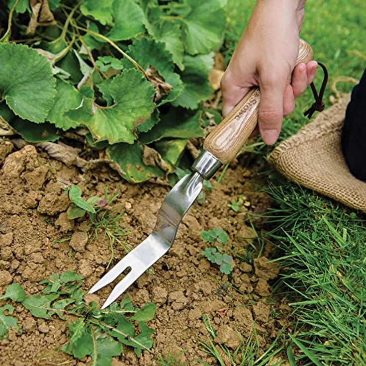 Kent & Stowe Hand Wurzelstecher – Unkrautstecher aus Edelstahl für Gras- und Erdflächen, Unkrautentferner mit Stiel aus Eschenholz, Länge: 30 cm – Bild 4