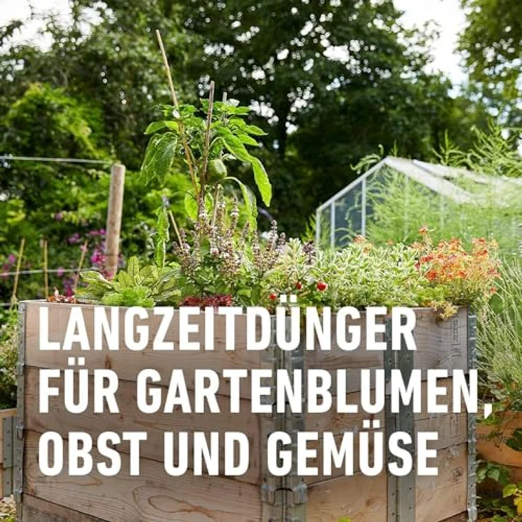 COMPO Garten Langzeit-Dünger, 2 kg für Gartenpflanzen, 6 Monate Langzeitwirkung, umweltschonende Rezeptur, für 37 m² – Bild 4