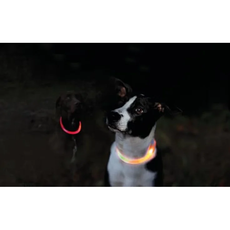 Trixie Flash Leuchtring USB orange XS-S: 35 cm/ø 7 mm – Bild 2