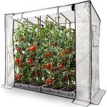 Arebos Tomatengewächshaus Foliengewächshaus mit 2 Belüftungsfenster | 200x77x170 cm Frühbeet, Gemüse, Blumen, Obst | Gewächshausfolie