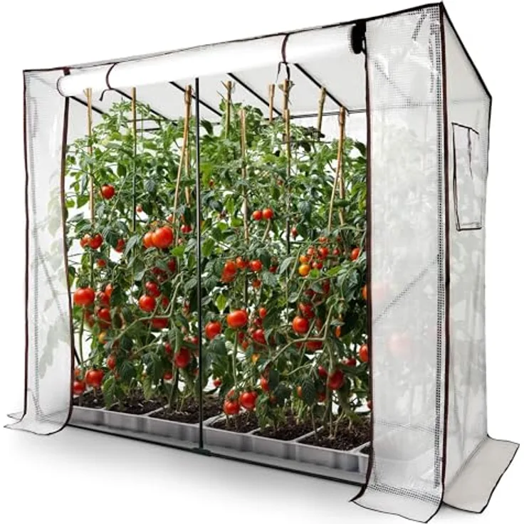 Arebos Tomatengewächshaus Foliengewächshaus mit 2 Belüftungsfenster | 200x77x170 cm Frühbeet, Gemüse, Blumen, Obst | Gewächshausfolie
