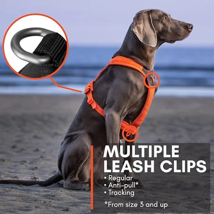 Non-stop dogwear Line Harness 5.0, Gepolstertes Hundegeschirr für kleine, mittlere und große Hunde, ergonomisch, reflektierend, Größe 8 – Bild 5