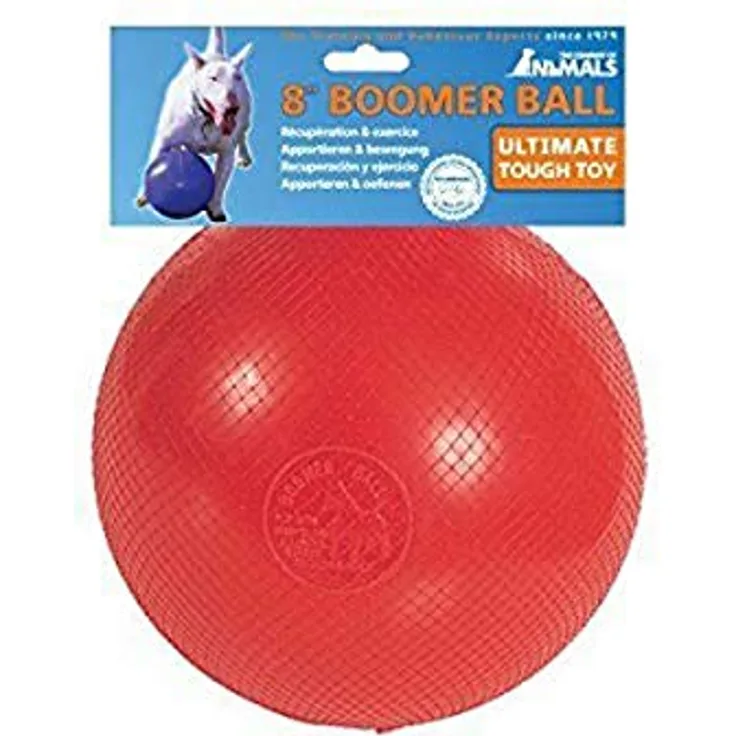 Company of Animals Boomer Kugel: 200 mm, langlebiges und nahezu unzerstörbares Tierspielzeug, ideal für ballbesessene Spielzeug-Zerstörer