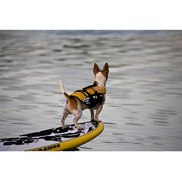 EzyDog Schwimmweste XS, verstellbare Rettungsweste für Hunde in leuchtenden Farben, geeignet für Wasser- und Landaktivitäten – Bild 3