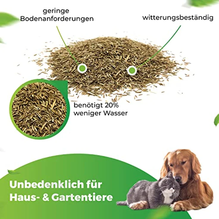 Greenyp® Sunny, dürreresistenter Trockenrasen, schnellkeimend, 30kg für 1200m², ideal für sonnige und trockene Böden – Bild 4