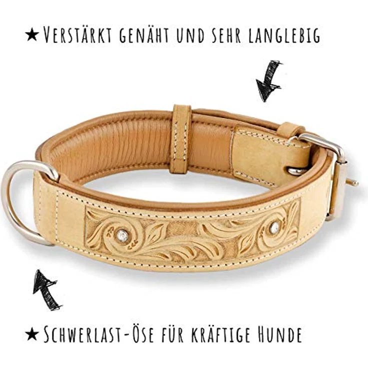 Monkimau Hundehalsband aus Leder - Halsband für Hunde mit Strass Kristall in Beige (XS-S: 25mm x 40cm) – Bild 3