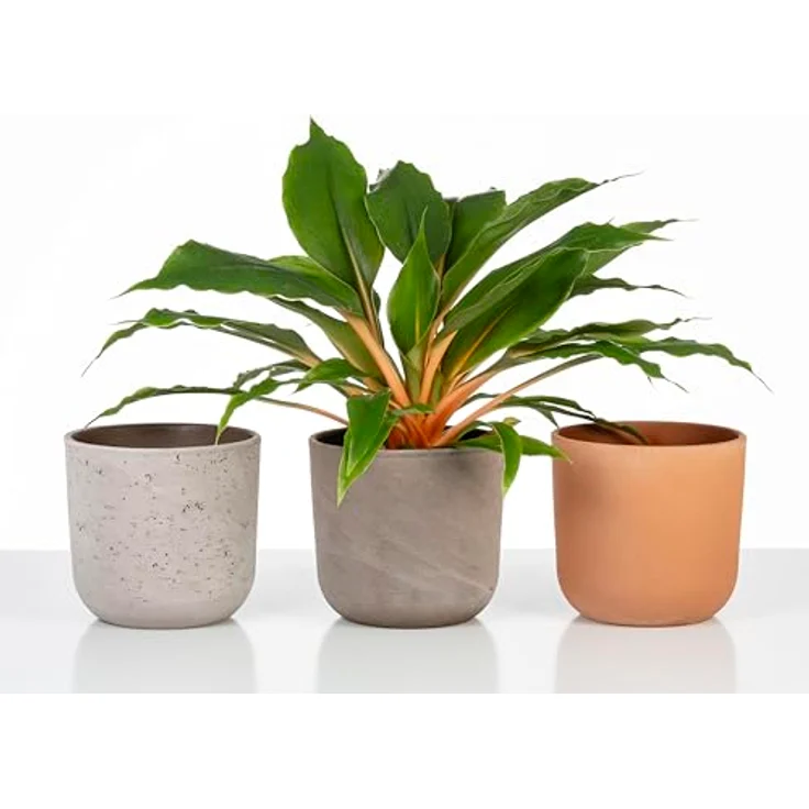 Scheurich La Natura, Blumentopf aus Keramik, Basalto, 17,6 cm Durchmesser, 16 cm hoch, 3,1 l Volumen, nachhaltig produziert mit 22 % Recyclinganteil – Bild 3