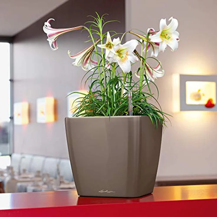 LECHUZA QUADRO Premium LS 35 silber metallic 16168 – Bild 4