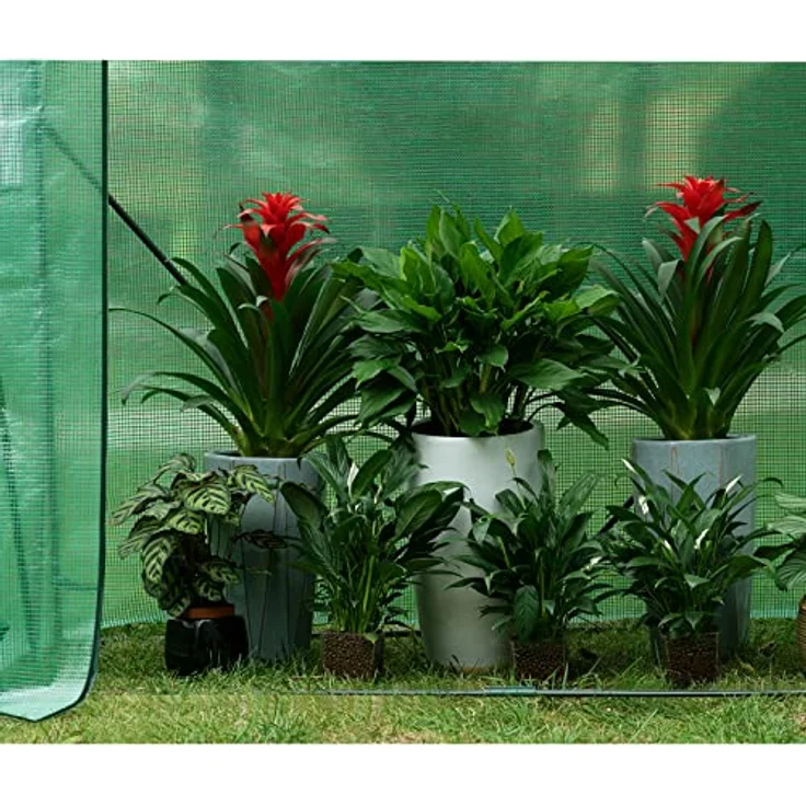 WOLTU Foliengewächshaus Tomatengewächshaus Treibhaus Gartenhaus Frühbeet Tomatenhaus Gemüse Gewächshaus überwinterungszelt für Pflanzen Transparent 200x77x146/169cm Grün – Bild 5