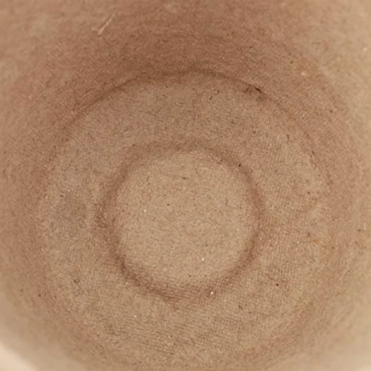 relaxdays Anzuchttopf 240 Stück, beige Pflanzgefäße aus Zellulose für umweltbewusstes Anpflanzen – Bild 7