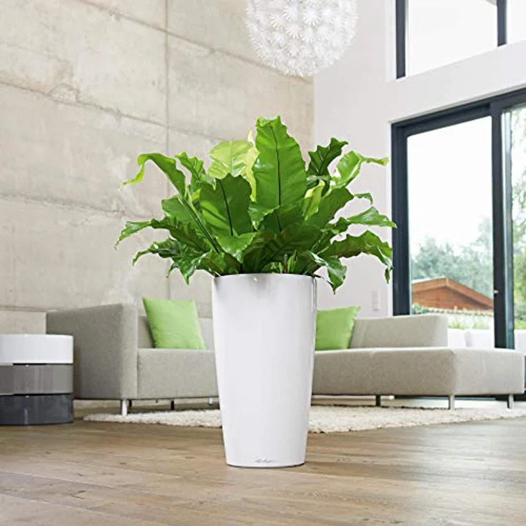 RONDO Premium 32 – Bild 4