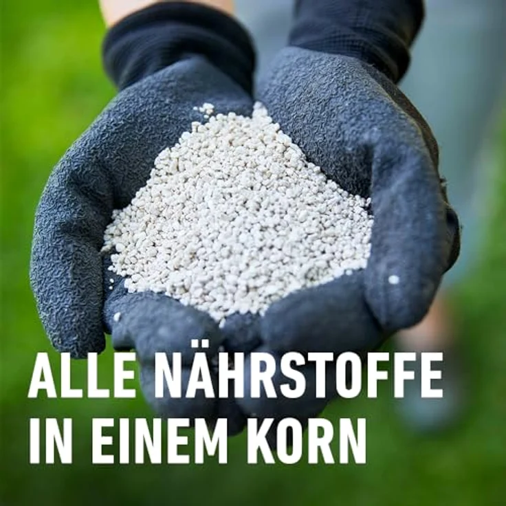 Compo Rasen-Langzeitdünger 8 kg - 2463304004 Düngemittel – Bild 5
