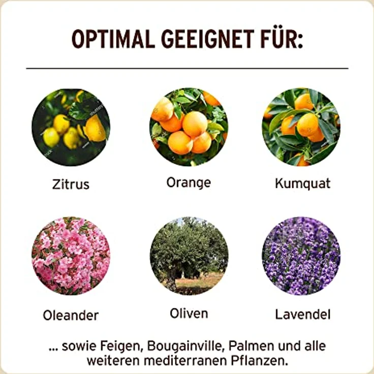 Substral Naturen Mediterrane & Zitrus Erde Bio & torffrei, für Zitruspflanzen, Kräuter, Palmen, etc., 20L – Bild 5
