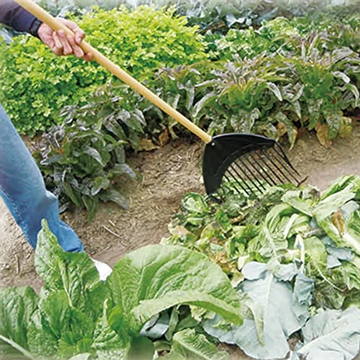 Freund Victoria Kunststoff Laubgabel – Bild 3