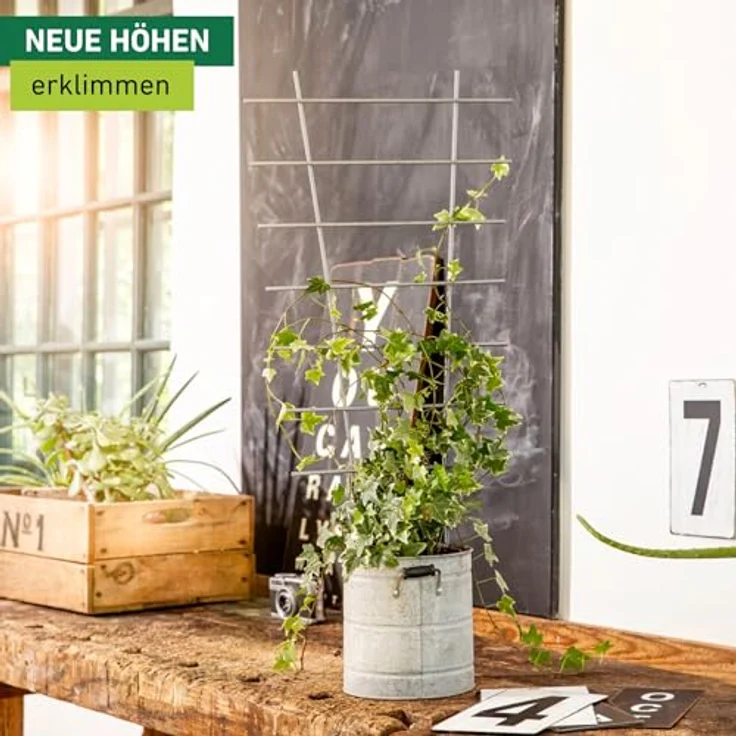 Windhager Blumenstütze, Rankhilfe, Gitterspalier, Rankgitter für Topfpflanzen, Metall, 77 x 34 cm, 05709 – Bild 2