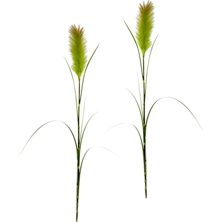 Pampasgras Zweige, Feder-Gras, Ufergras, Uferschilf, Seidenblumen, Grasbusch, Dekogras, Gras, Kunstpflanzen, Kunstgras, künstliche Pflanzen, Solitärgras, Ziergras, 2er Set, 125 cm