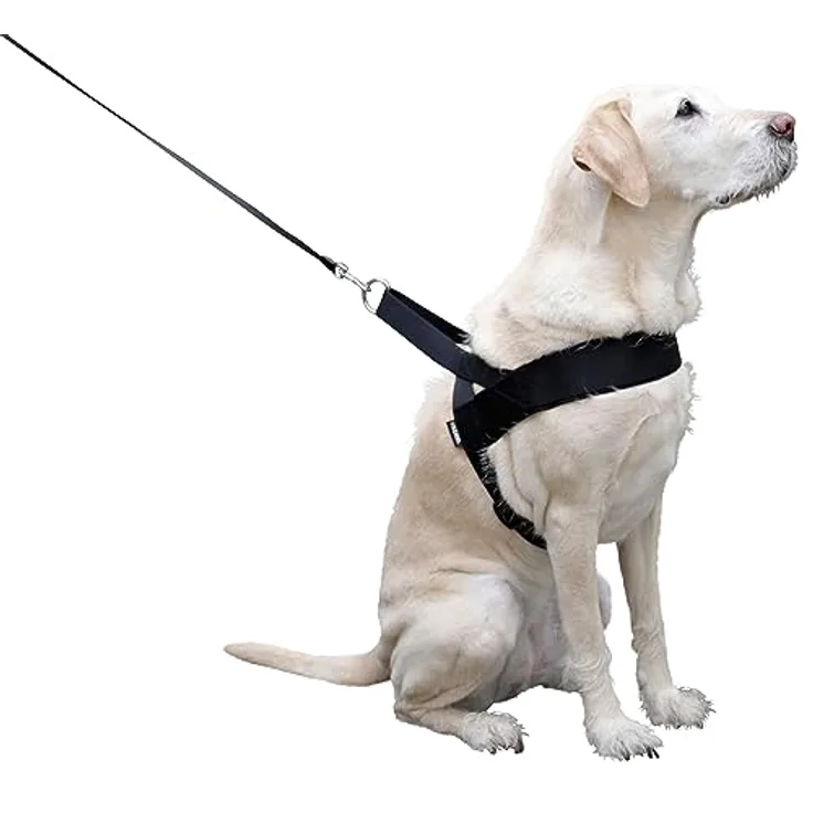 Kerbl MIAMI PLUS Geschirr, 60-75cm verstellbar, stabiles Nylongewebe, robuste Beschläge, schwarze Polsterung