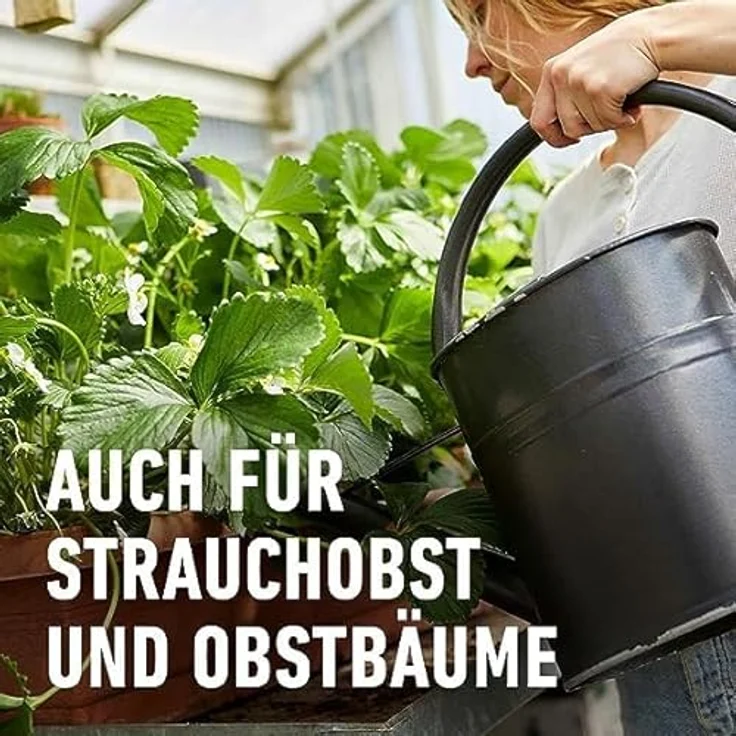 COMPO Beeren Langzeit-Dünger für Beeren, Obst und Feingemüse, umweltschonende Rezeptur, 6 Monate Langzeitwirkung, 2 kg, für 45 m² – Bild 5