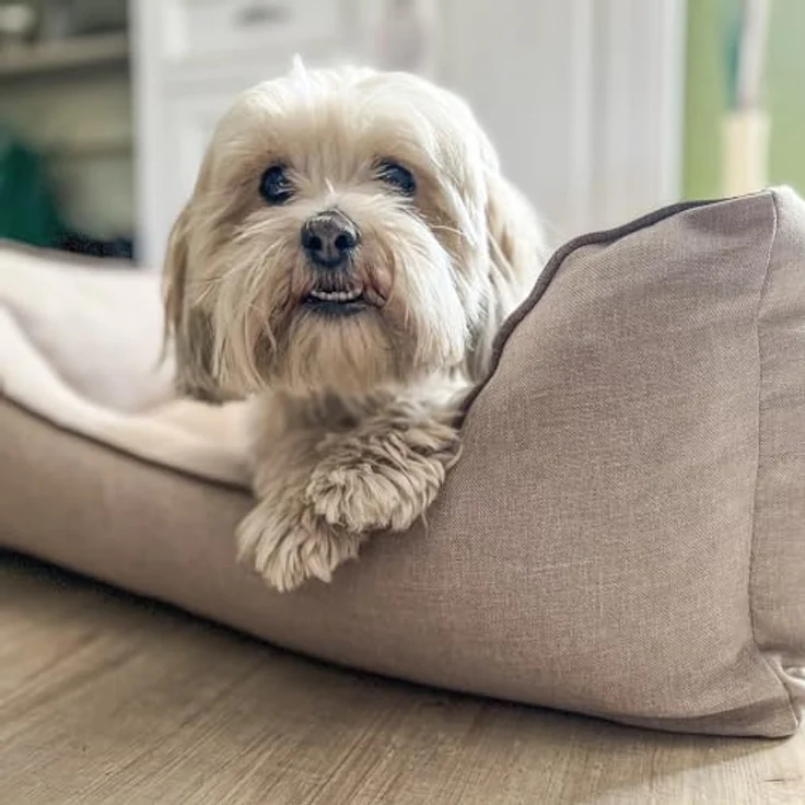 Aumüller Hundesofa Basic Line, Beige - 100 cm - Sofa für Hunde mit formstabilen Kissenrand | Herausnehmbares Kissen | Abnehmbarer Bezug | Gefertigt in Europa – Bild 4